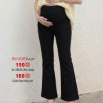 quần tây bầu ống loe, quần tây bầu thời trang, quần bầu công sở